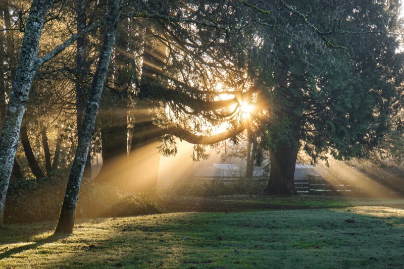 Sunlight.jpg вызывает обесцвечивание штрих - кода