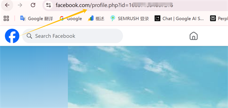 ссылка на профиль Facebook